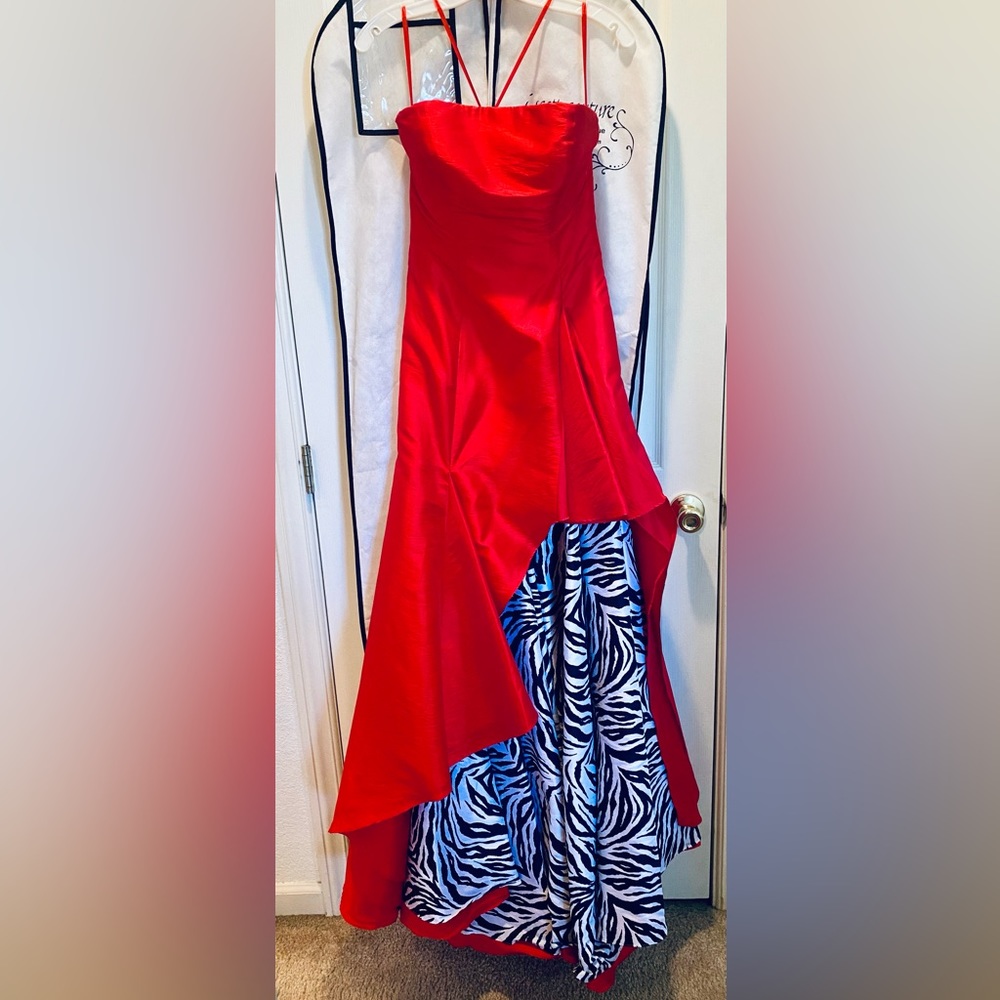 Vintage Scala Prom Dress